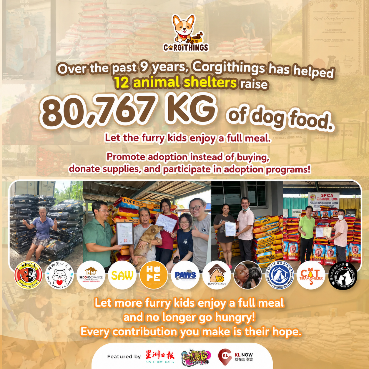 Corgithings animal shelter support history