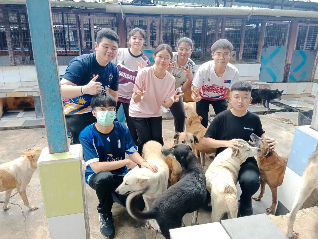 Shelter visit